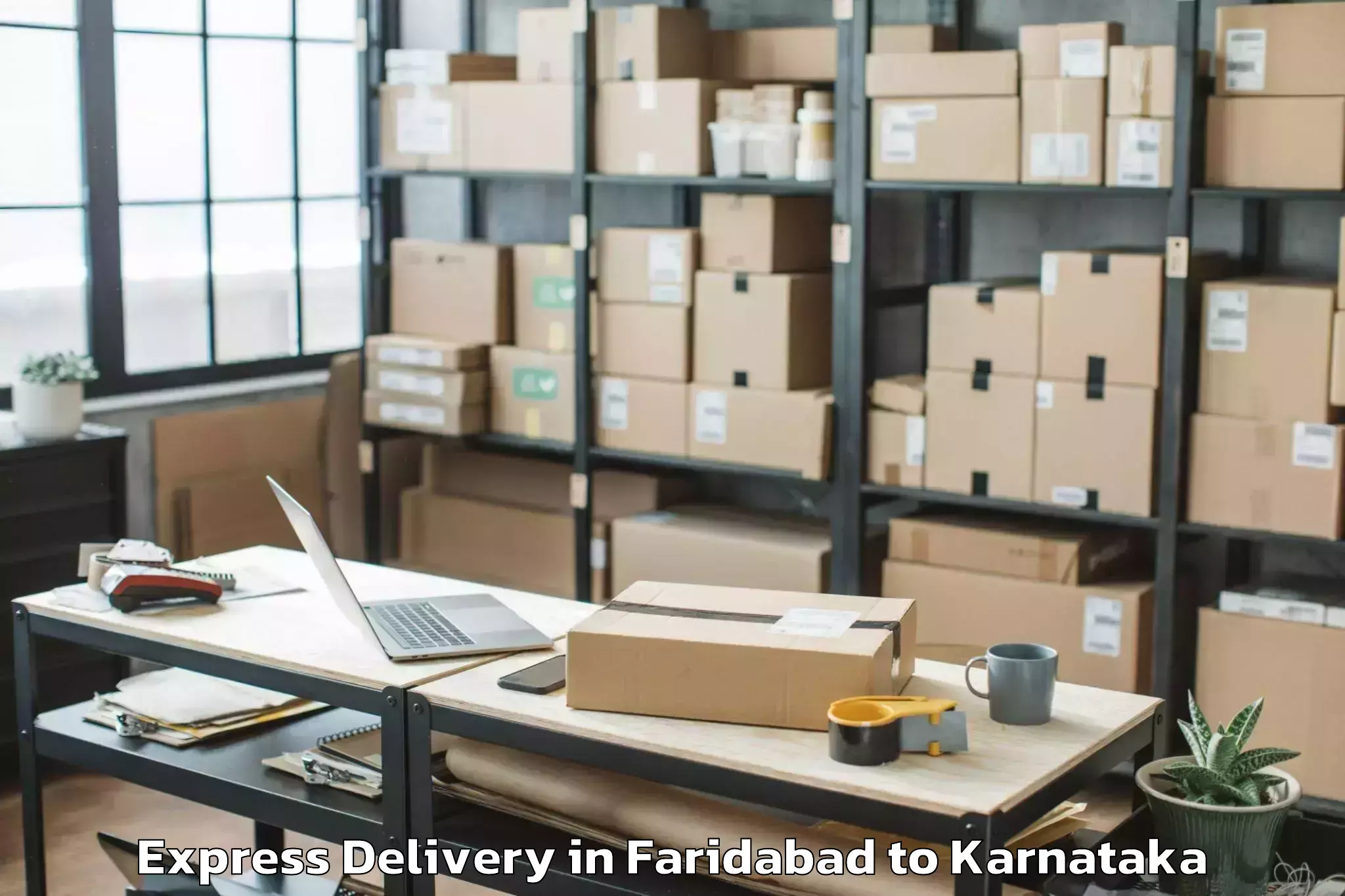 Trusted Faridabad to Mattur Express Delivery